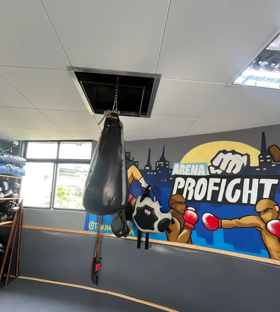 Interior da Arena ProFight com sacos de pancada e o mural da escola